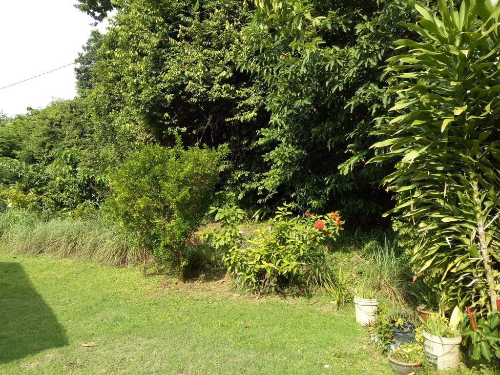 Nas Villaria Langkawi Pantai Cenang  Exteriér fotografie